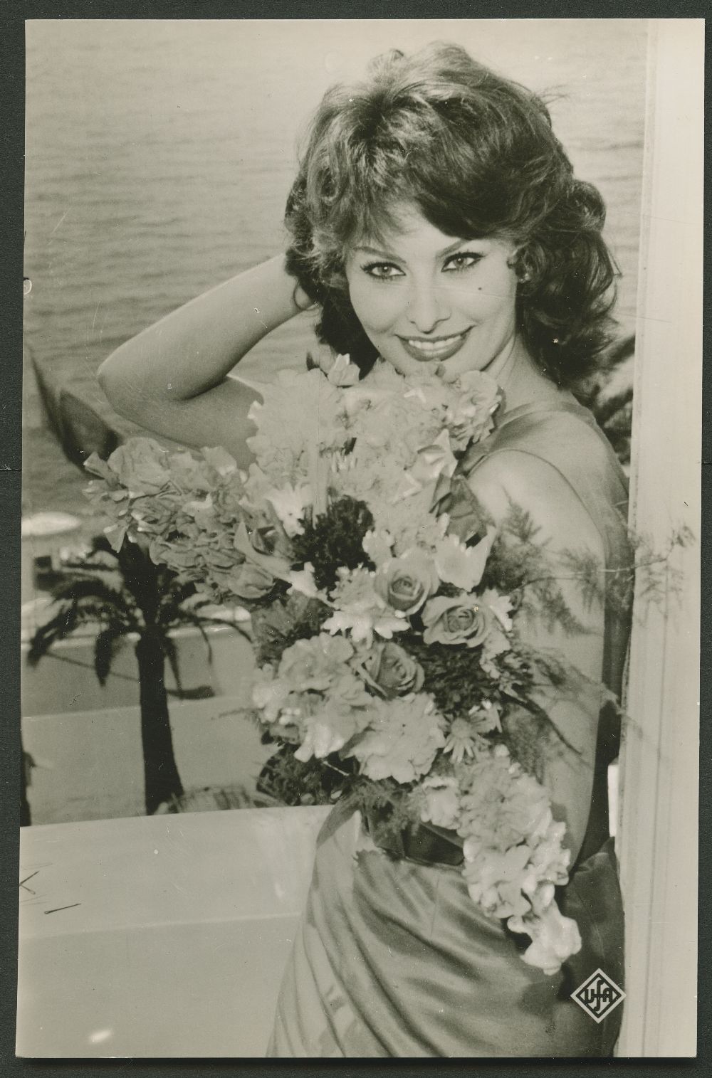 Sophia Loren #3222 (image for) Sophia Loren #3222